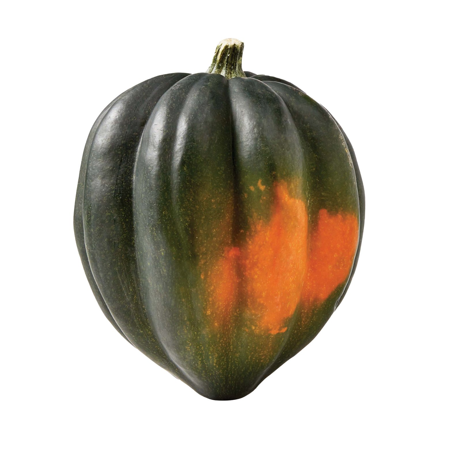 Acorn Squash and its different tastes