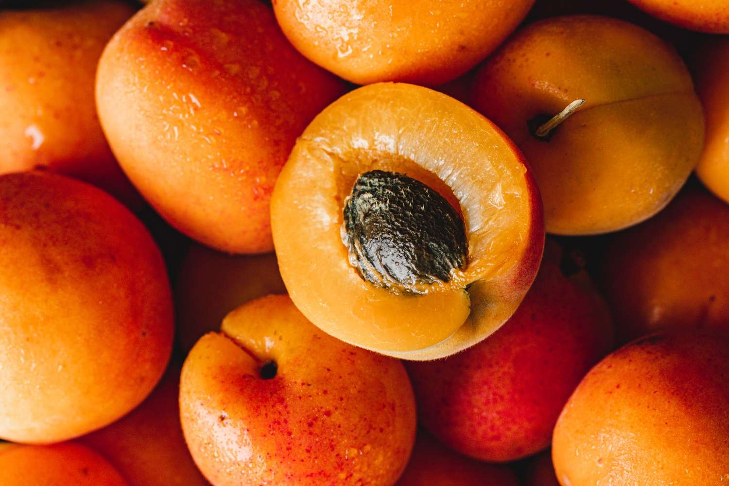 Apricots and its different tastes