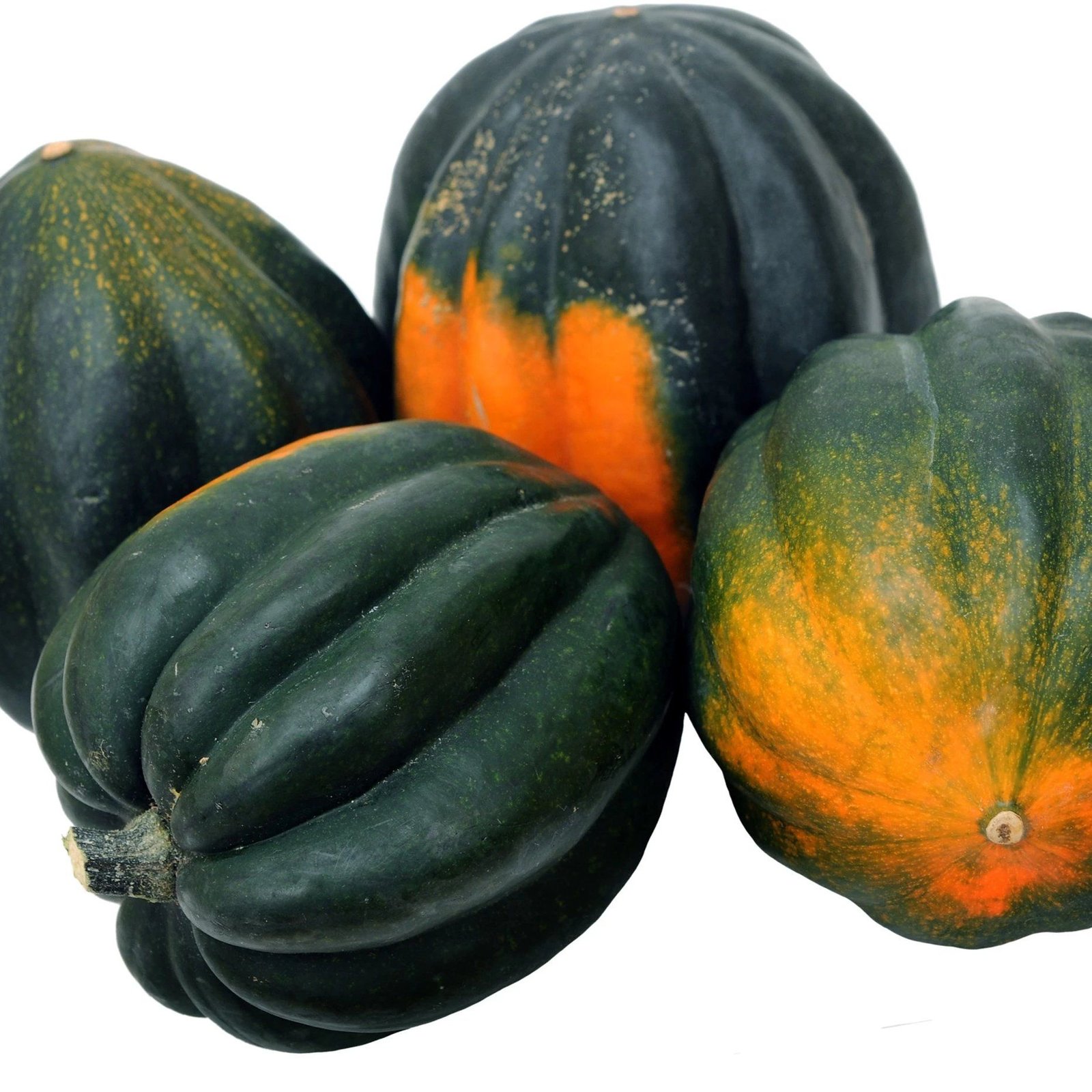 Variations in taste of Acorn Squash