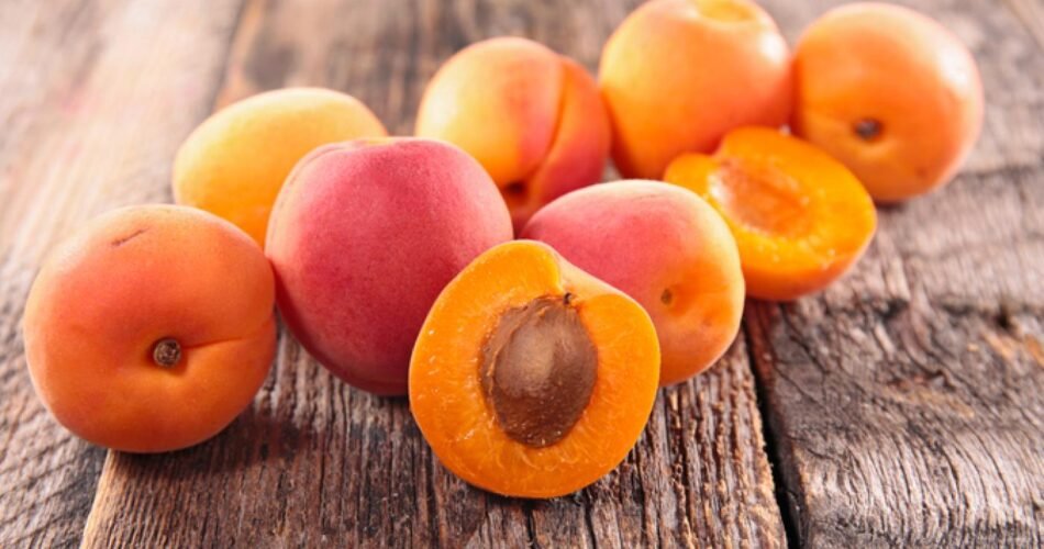 what do apricots taste like