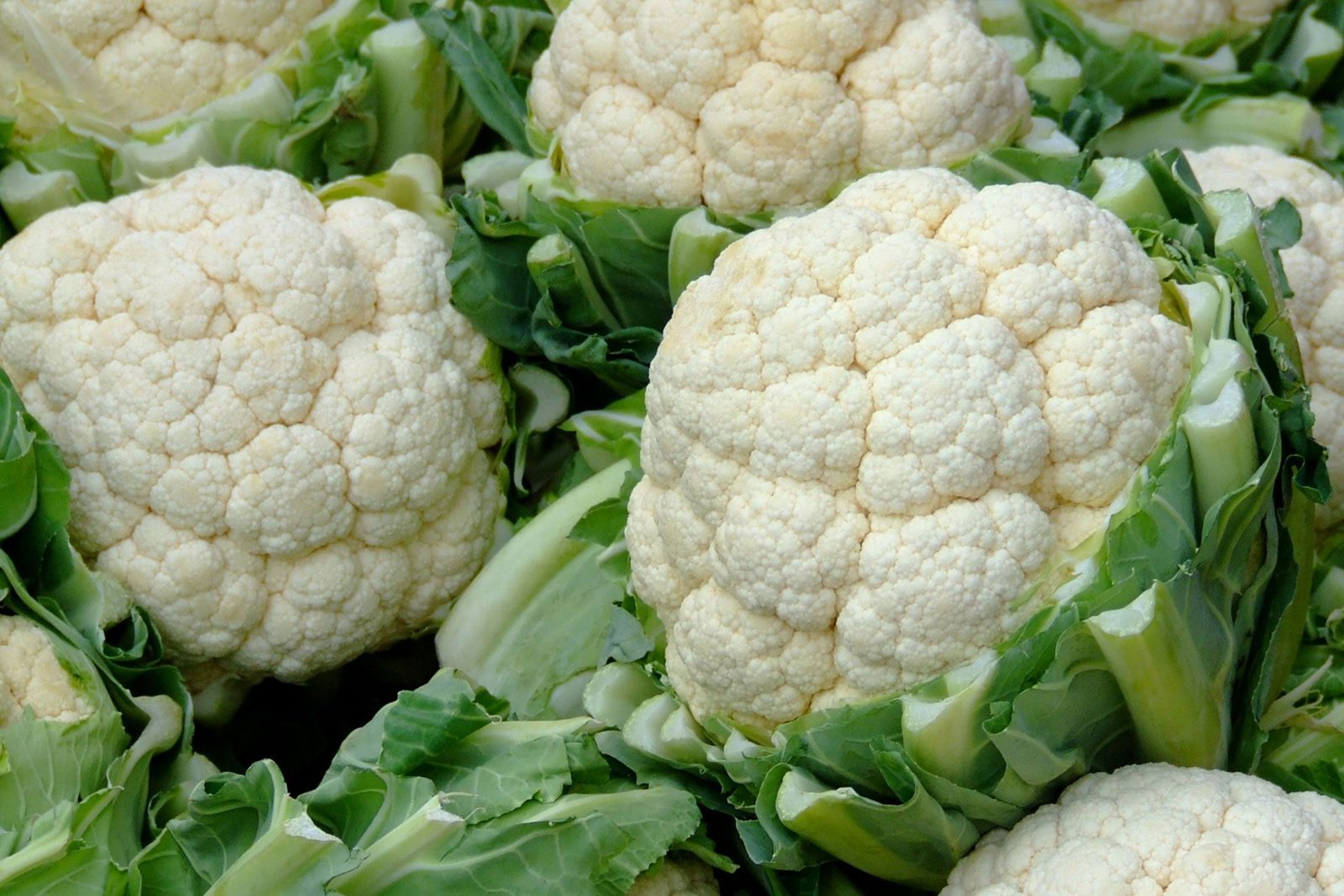 Cauliflower and its different tastes