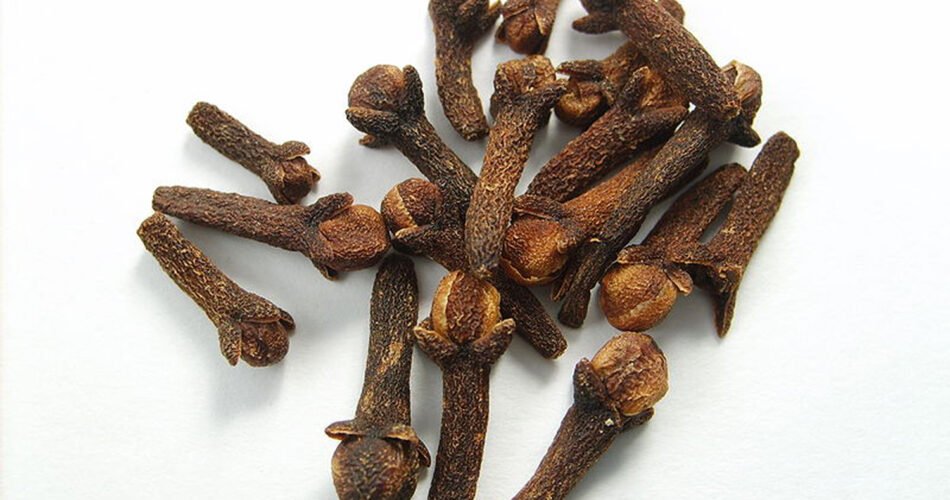 what do cloves taste like